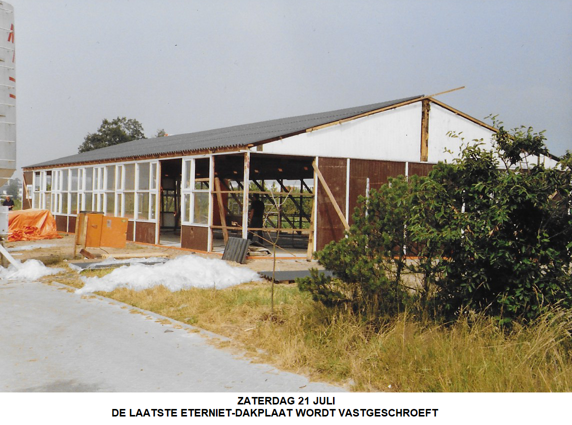 Afbeelding 3
